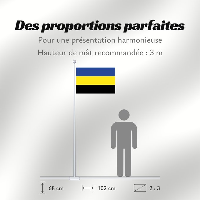 Proportions du drapeau : Gelderland	Province of Gelderland in the Netherlands	Güeldres	Gelderland 