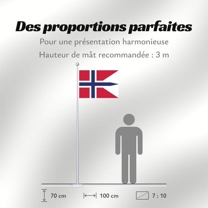 Proportions du drapeau : Norway Norvège Noruega Norwegen Norvegia Noorwegen Norwegii Þjóðfáni Noregs Banniel Norvegia Norska Norwy Norges Norvegio Noregs Norveške Norski fáninn Norvegiae Norges flagg Det norske flagget Norgga leavga Stän Norgäna