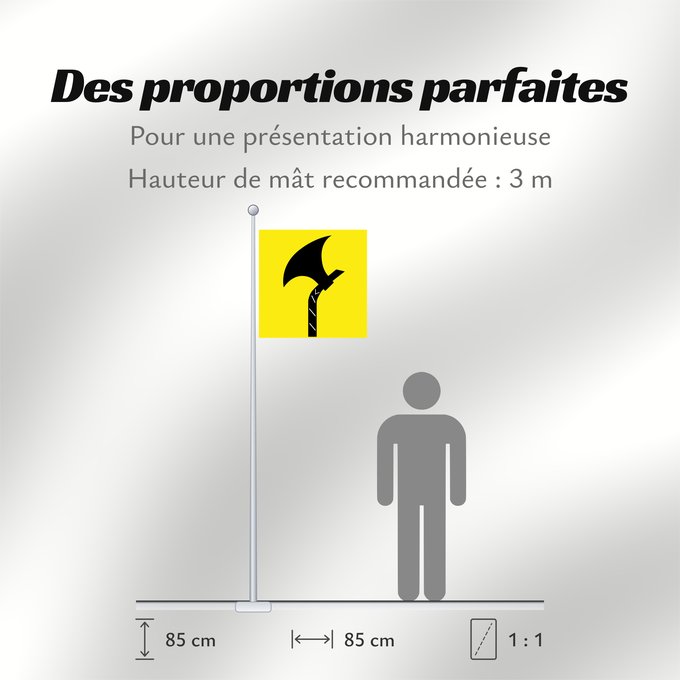 Proportions du drapeau : Telemark