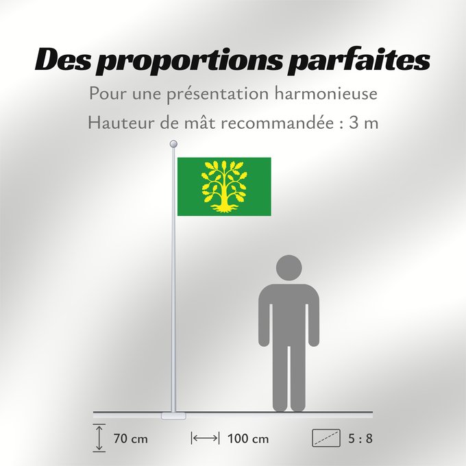 Proportions du drapeau : Vest-Agder comté de Vest-Agder Vest-Agder Fylke
