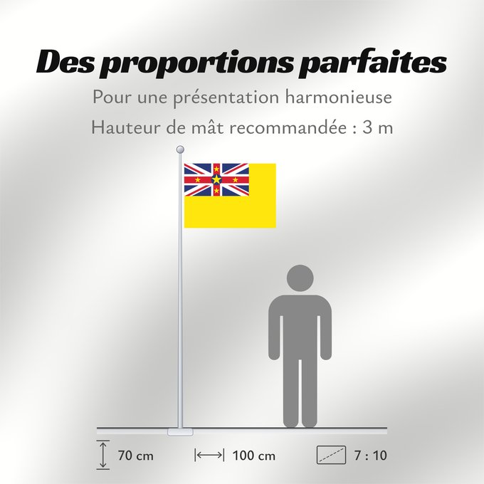 Proportions du drapeau : Niue	Niue  New Zealand	ニウエの国旗	Pīwari o Niuē