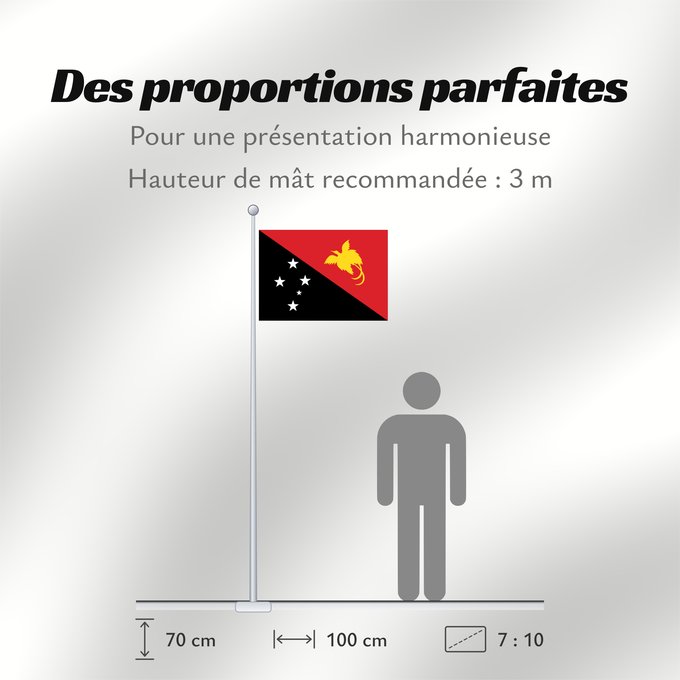 Proportions du drapeau : Papua New Guinea	Papua New GuineaColours Pantone 186 C for red and 116 C for yellow	Papouasie-Nouvelle-Guinée	Papúa Nueva Guinea	Papua-Neuguineas	Papua Nuova Guinea	Papoea-Nieuw-Guinea	Papua-Nova Guiné	Papui-Nowej Gwinei	علم بابوا غينيا الجديدة	পাপুয়া নি