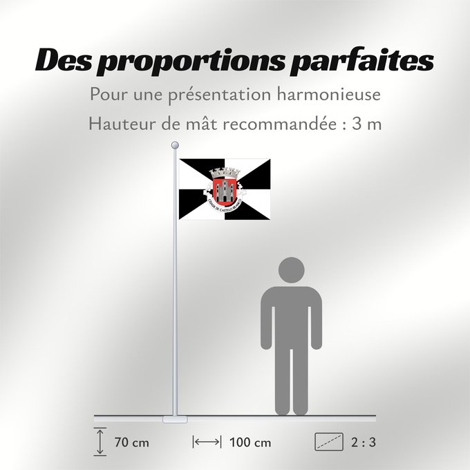 Proportions du drapeau : Castelo Branco