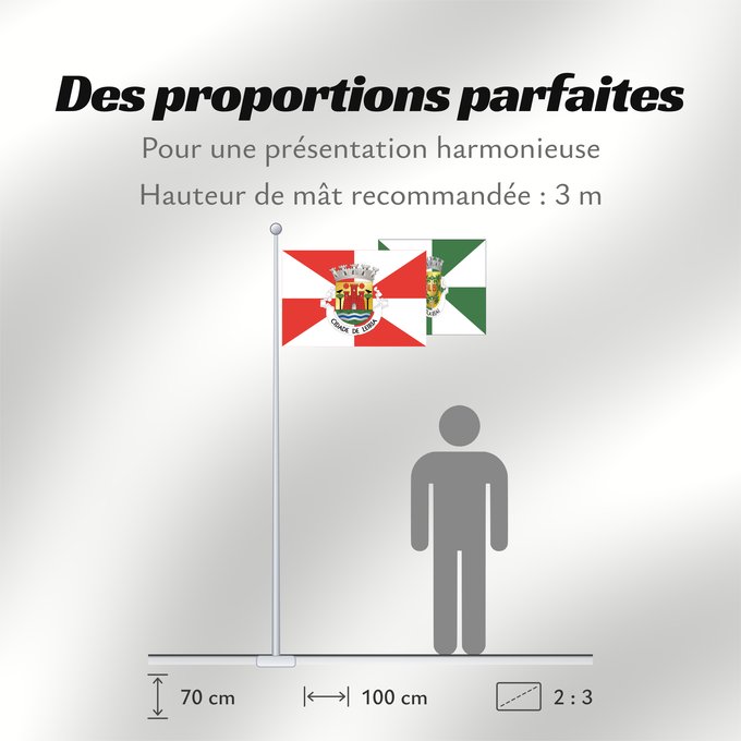 Proportions du drapeau : Leiria