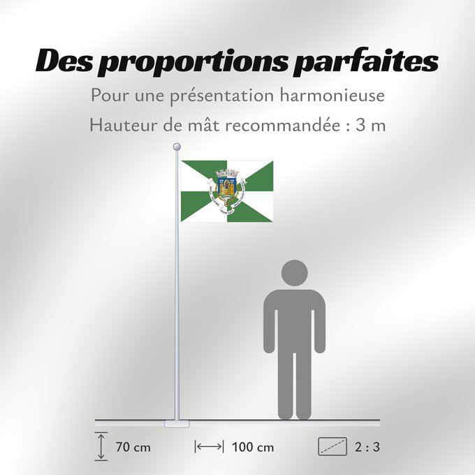 Proportions du drapeau : Porto