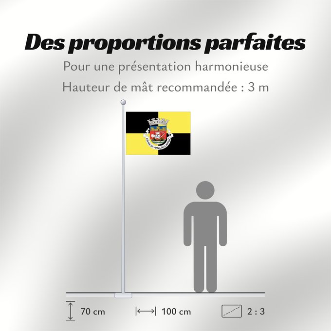 Proportions du drapeau : Viana do Castelo