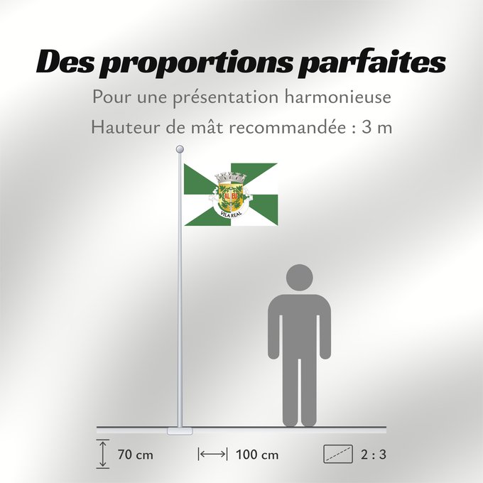 Proportions du drapeau : Vila Real