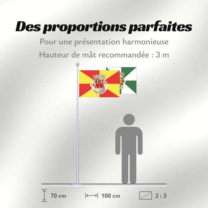 Proportions du drapeau : Viseu