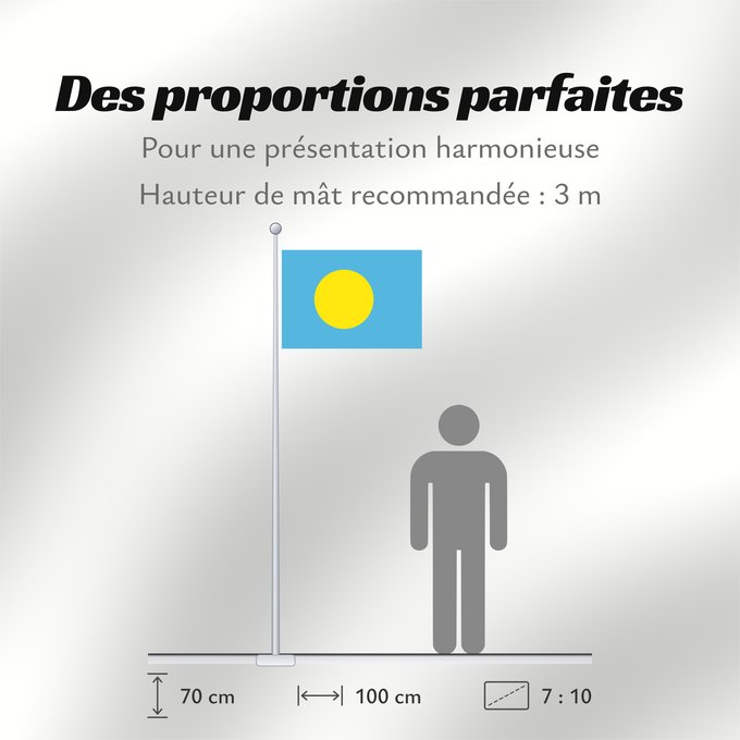 Proportions du drapeau : Palau	Palau, made by User Gabbe	 Palaos	Palaos	パラオの国旗	Palaua	​帕勞國旗