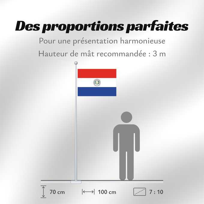 Proportions du drapeau : Paraguay Paraguay obverse علم باراغواي پرچم پاراگوئه روی پرچم Флаг Парагвая