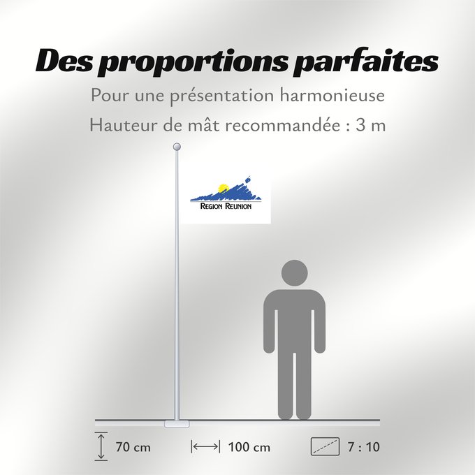 Proportions du drapeau : Réunion