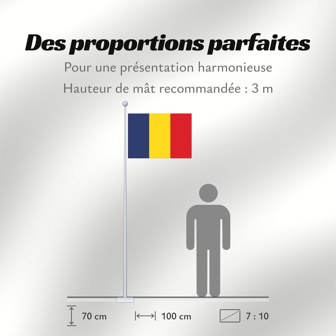 Proportions du drapeau : Romania	Romania from 1867 until 1947 and since 1989	Roumanie	Rumania	Rumäniens	Roemenië	Roménia	Rumunii	Сцяг Румыніі	Сьцяг Румыніі	Знаме на Румъния	Banniel Roumania	Rumunská vlajka	ꙁна́мѧ Роумꙑні́ꙗ	Rwmania	Rumæniens	Σημαία της Ρουμανίας	Rumeenia lipp	Roma