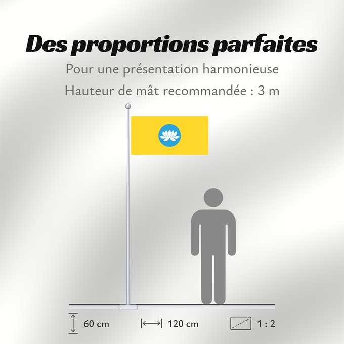 Proportions du drapeau : Kalmykia	Kalmoukie	República de Kalmukia 	Kalmückien	Флаг Республики Калмыкия	Туг Хальмг Таңһч