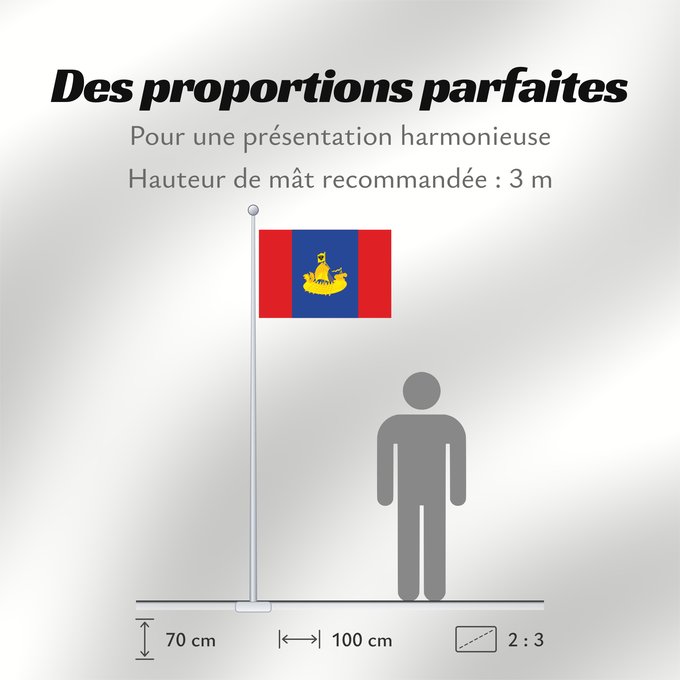 Proportions du drapeau : Kostroma Oblast Oblast de Kostroma Óblast de Kostromá Oblast Kostroma Флаг Костромской области