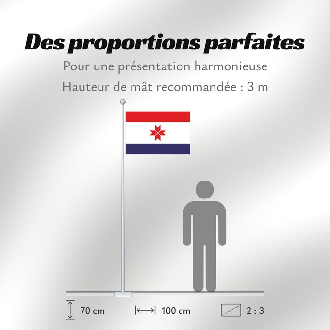 Proportions du drapeau : Mordovia	Republic of Mordovia	Mordovie	 República de Mordovia 	Mordowia	Repubblica di Mordovia