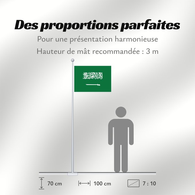 Proportions du drapeau : Civil Ensign of Saudi Arabia  obverse	Saudi Arabia	Arabie saoudite	Arabia Saudita	Saudi-Arabien