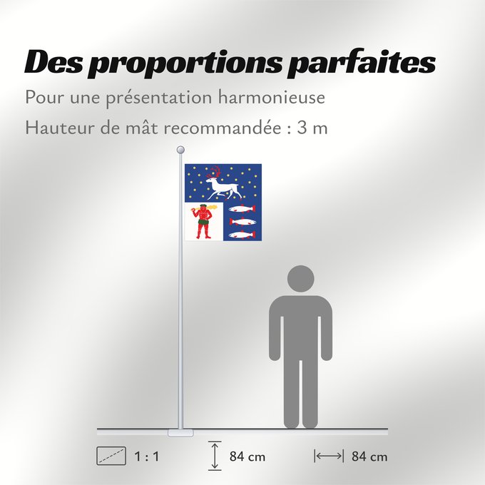 Proportions du drapeau : Västerbottens län vapenflagga	Västerbotten County in Sweden	Västerbotten	Västerbottens läns vapenflagga