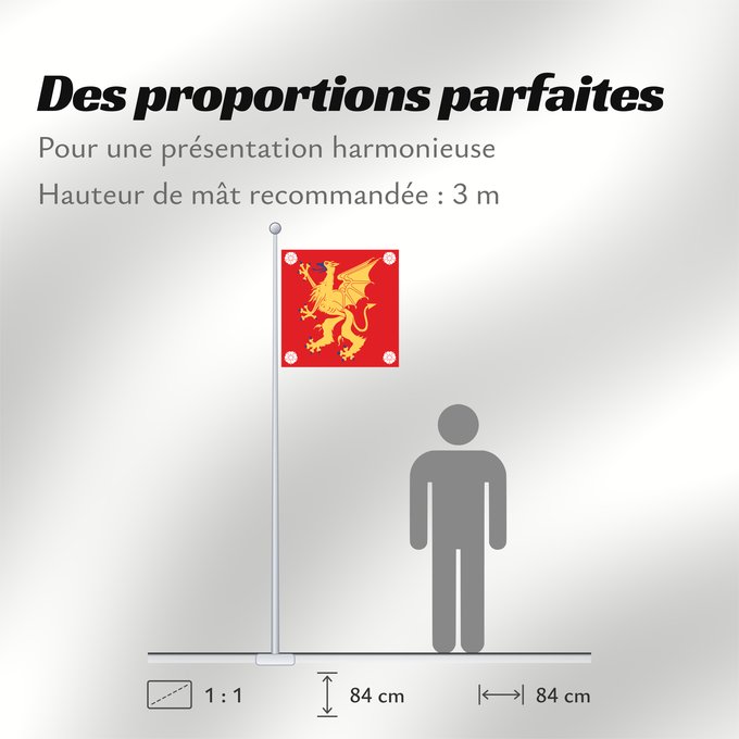 Proportions du drapeau : Östergötlands län