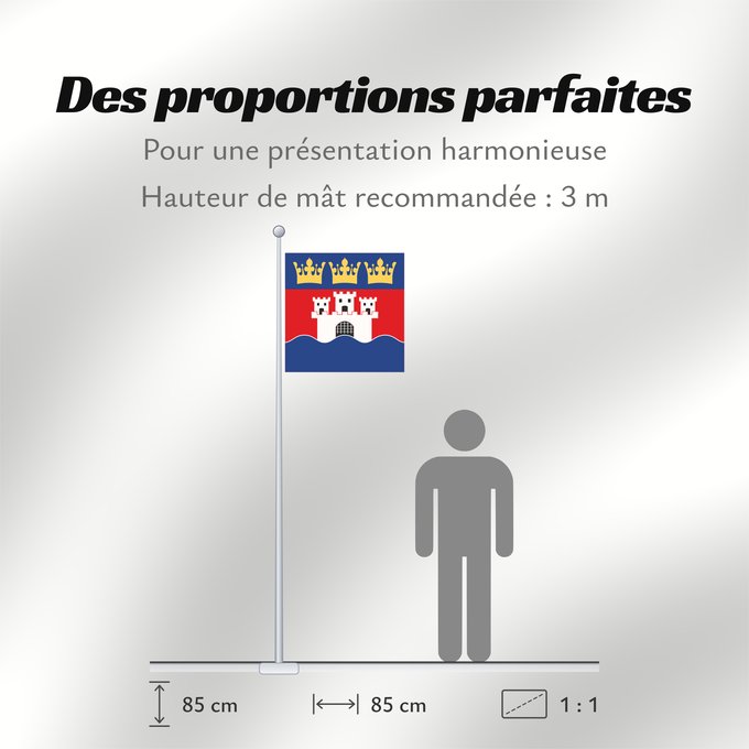 Proportions du drapeau : Jönköpings län vapenflagga Jönköping County in Sweden Jönköping Jönköpings läns vapenflagga