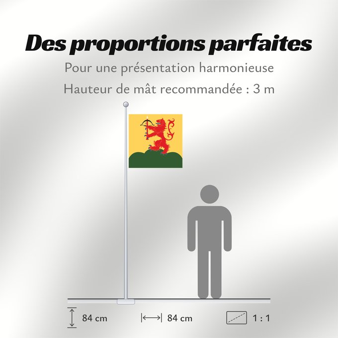 Proportions du drapeau : Kronobergs län vapenflagga	Kronoberg County in Sweden	Kronoberg	Provincia de Kronoberg	Kronobergs läns vapenflagga