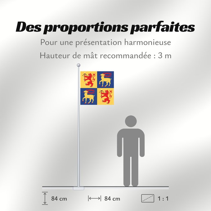 Proportions du drapeau : Kalmar län