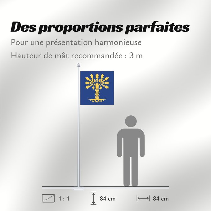 Proportions du drapeau : Blekinge län vapenflagga	See about CoA blazoning [Expand]	Blekinge	Blekinge läns vapenflagga