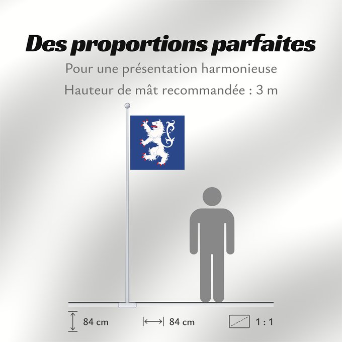 Proportions du drapeau : Hallands län vapenflagga	Halland County in Sweden	Halland	Hallands läns vapenflagga