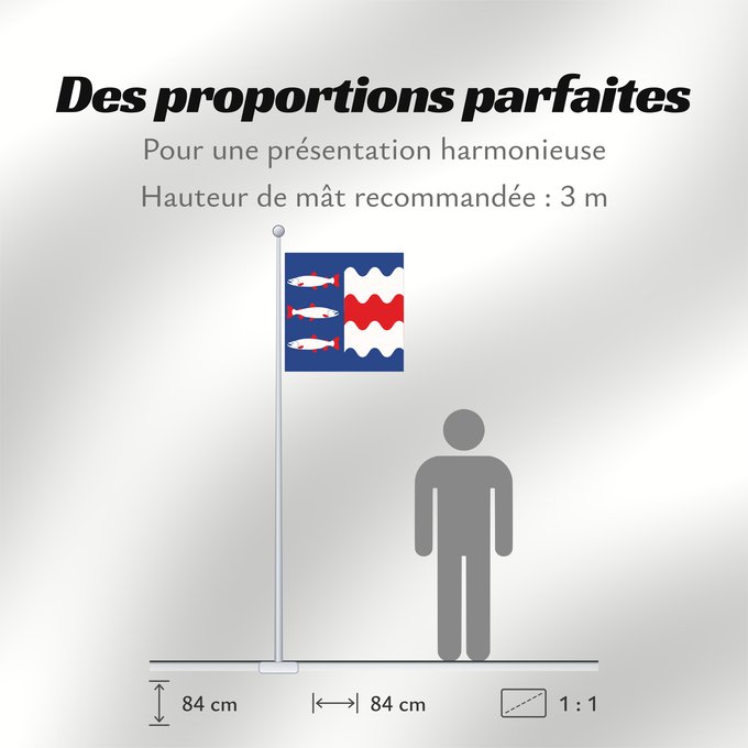 Proportions du drapeau : Västernorrlands län
