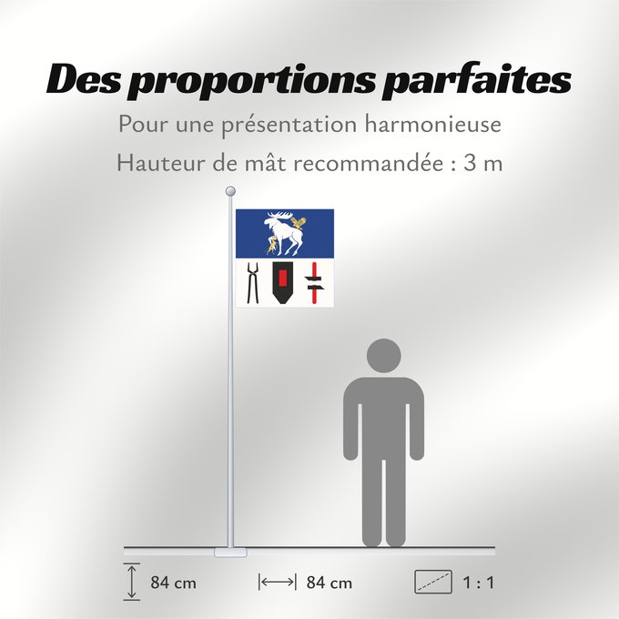 Proportions du drapeau : Jämtlands län