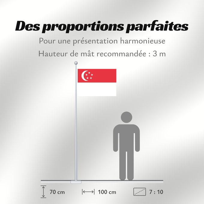 Proportions du drapeau : Singapore	Singapour	Singapur	Singapuru	علم سنغافورة	Singapuro	Singapura	Флаг Сингапура	Singapurja	சிங்கப்பூரி்ன் கொடி	​新加坡国旗