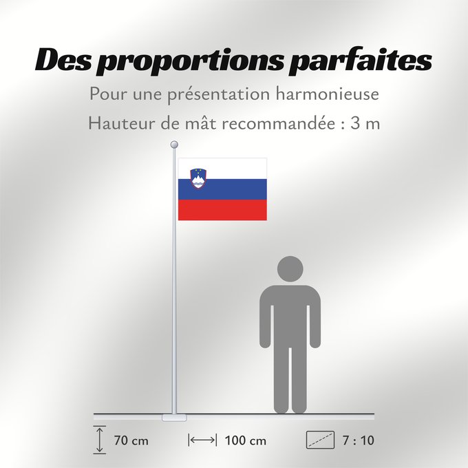 Proportions du drapeau : Slovenia	Slovénie	Eslovenia	Slowenien	Slovenië	Słowenii	Сцяг Славеніі	Slovenije	D Eslovènia	Slovinská vlajka	Флаг Словении	Прапор Словенії