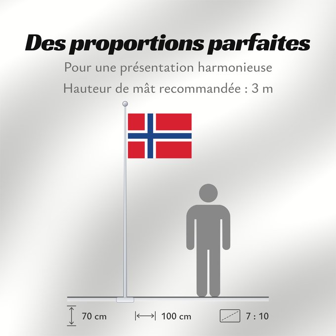 Proportions du drapeau : Svalbard and Jan Mayen