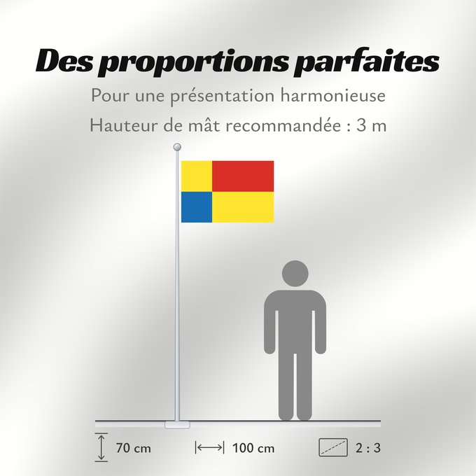 Proportions du drapeau : Kosicky vlajka Košice Region Région de Košice Región de Košice Košice (Region)