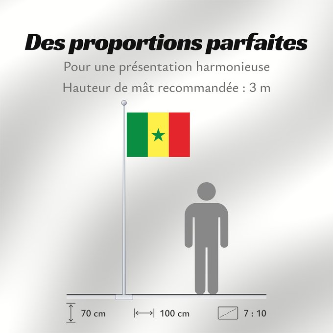 Proportions du drapeau : Senegal	Sénégal	Senegalo	پرچم سنگال	Senegala
