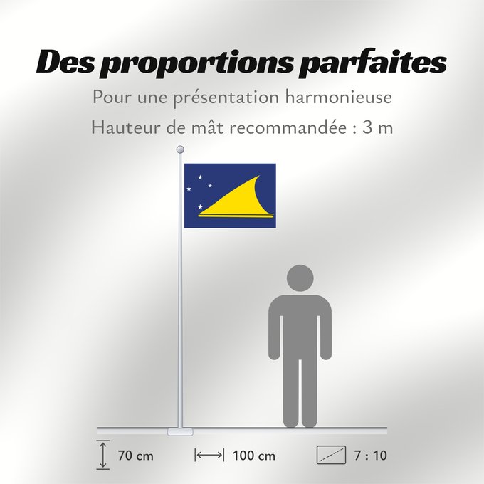 Proportions du drapeau : Tokelau	Tokelau since May 2008	Tokelau que fuera adoptada en mayo de 2008 por el parlamento local de este territorio dependiente de Nueva Zelanda	Pīwari o Tokelau