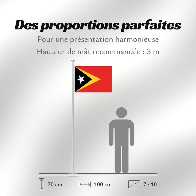 Proportions du drapeau : East Timor	Timor-Leste  East Timor	Timor oriental	Timor Oriental	Osttimor	Timor Est	Timor-Leste  Oost-Timor	Timor-Leste	علم تيمور الشرقية	তিমুর লেস্তের জাতীয় পতাকা	Timor Leste	Флаг Восточного Тимора	Östtimors	Timór Lorosa e nian