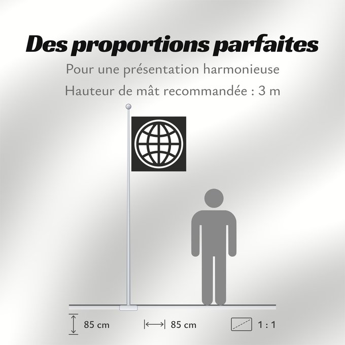 Proportions du drapeau : The World Bank Group