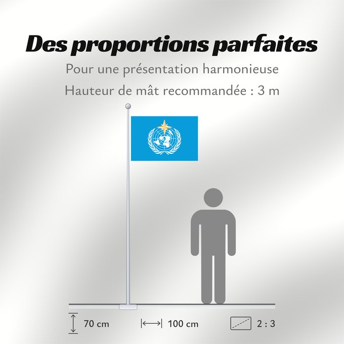 Proportions du drapeau : World Meteorological Organization	L Organisation météorologique mondiale