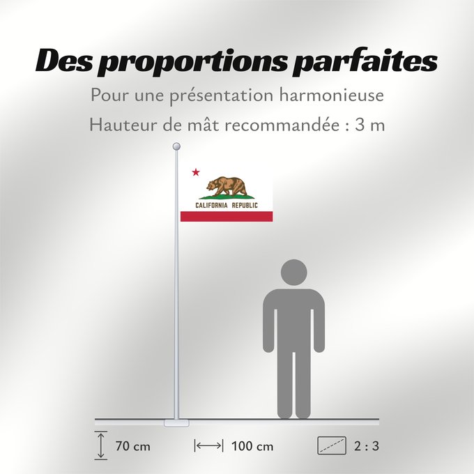 Proportions du drapeau : California	Californie	Kalifornien	Californië	ᎠᏕᎳᏧᏢᎢ ᎦᏓᏘ	Ka hae Kaleponi	דגל מדינת קליפורניה	Californiae	Ahééháshį́į́h Hahoodzo bidah naatʼaʼí	Флаг Калифорнии	Američke savezne države Kalifornije	ⴰⵙⴻⵏⵢⴰⵍ ⵏ ⴽⴰⵍⵉⴼⵓⵕⵏⵢⴰ