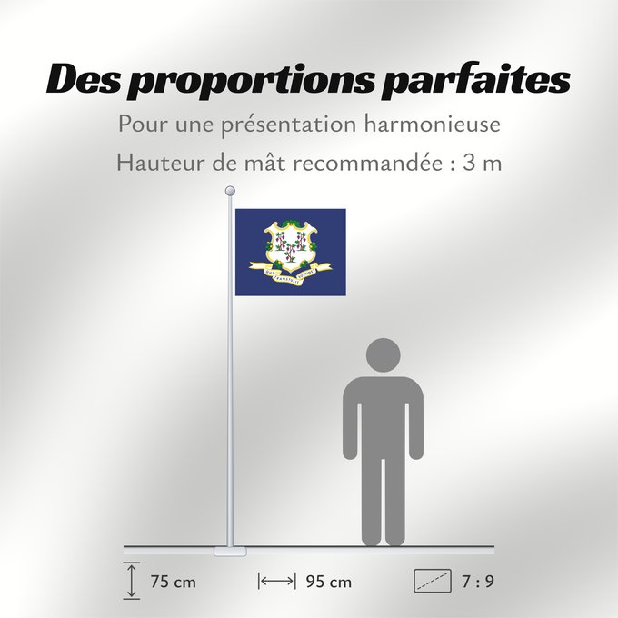 Proportions du drapeau : Connecticut	ᎧᏁᏓᎦᏗ ᎦᏓᏘ	Ka hae Konekikuka	Connecticutae	Kanédiki  hahoodzo bidah naatʼaʼí	Флаг Коннектикута	Američke savezne države Konektikat