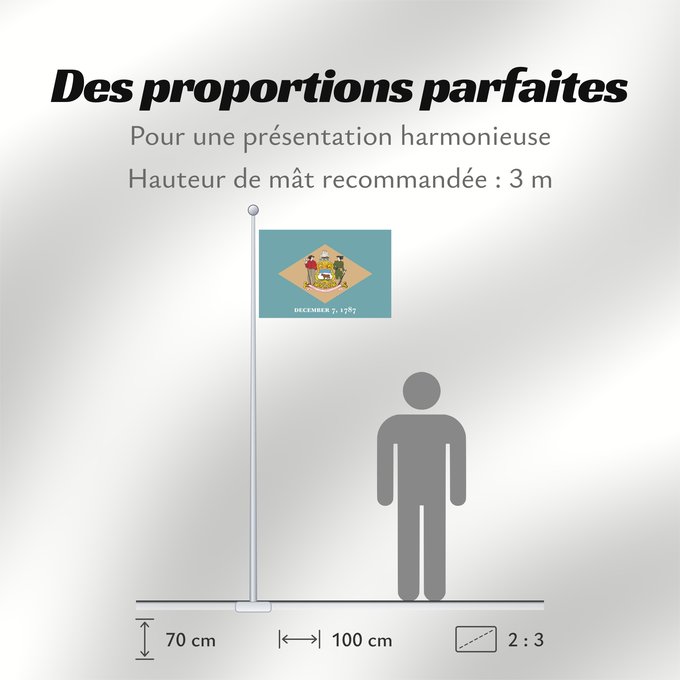 Proportions du drapeau : Delaware ᏕᎳᏪᎢ ᎦᏓᏘ Ka hae Kelawea Delevariae Vlagge van Delaware Déláwee Hahoodzo bidah naatʼaʼí Флаг Делавэра Američke savezne države Delaver Delawares