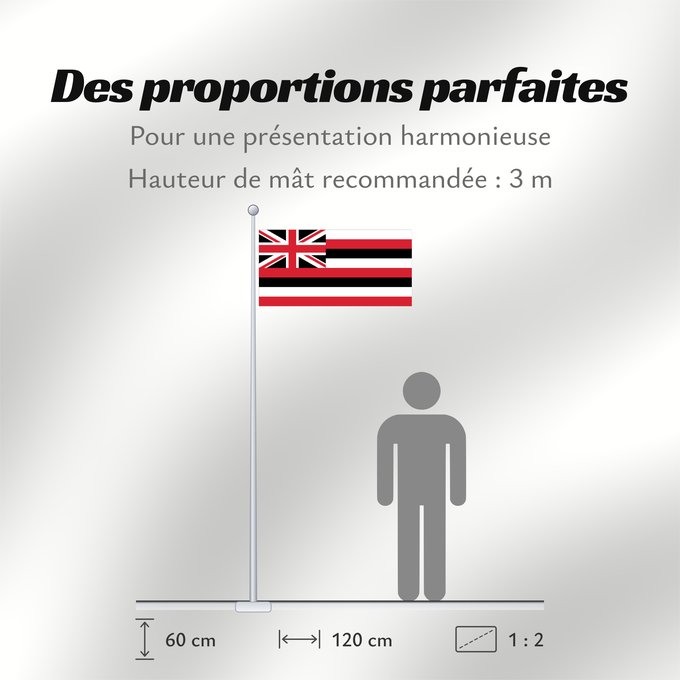 Proportions du drapeau : Hawaii D Hawaï Hawái Banniel Hawaii ᎭᏩᏱ ᎦᏓᏘ Ka hae Hawaiʻi 夏哇夷 州의 旗 / 하와이 주의 기 Havaii Hawáai Hahoodzo bidah naatʼaʼí Флаг Гавайев Američke savezne države Havaji