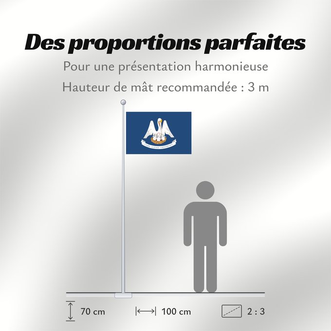 Proportions du drapeau : Louisiana	For more information	Louisiane	Luisiana	ᎷᏫᏏᎡᎾ ᎦᏓᏘ	Ka hae Luikiana	Ludovicianae	Liwíízíʼeenah Hahoodzo bidah naatʼaʼí	Флаг Луизианы	Američke savezne države Lousiane