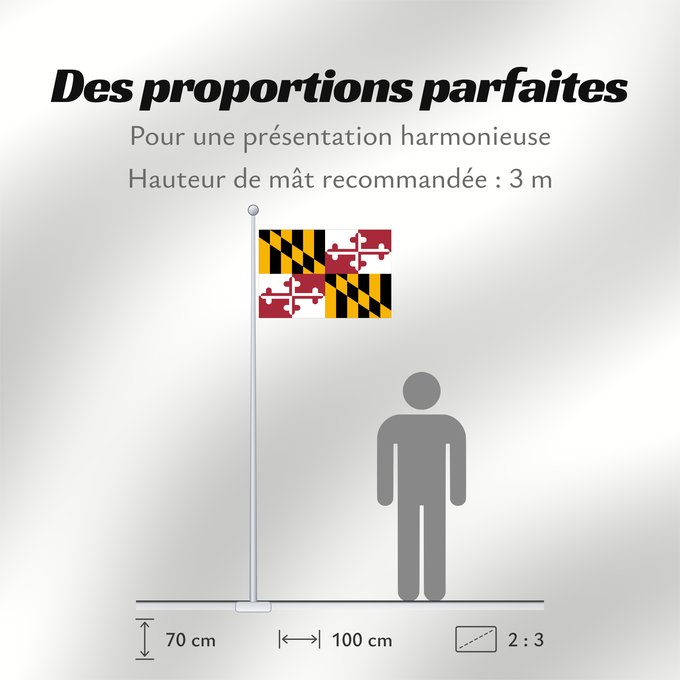 Proportions du drapeau : Maryland	Stanowa Marylandu	ᎺᎵᏂ ᎦᏓᏘ	Ka hae Melelana	Terræ Mariæ	Méelin Hahoodzo bidah naatʼaʼí	Флаг Мэриленда	Američke savezne države Maryland