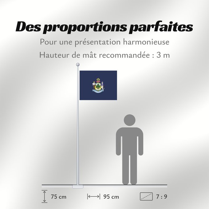 Proportions du drapeau : Maine