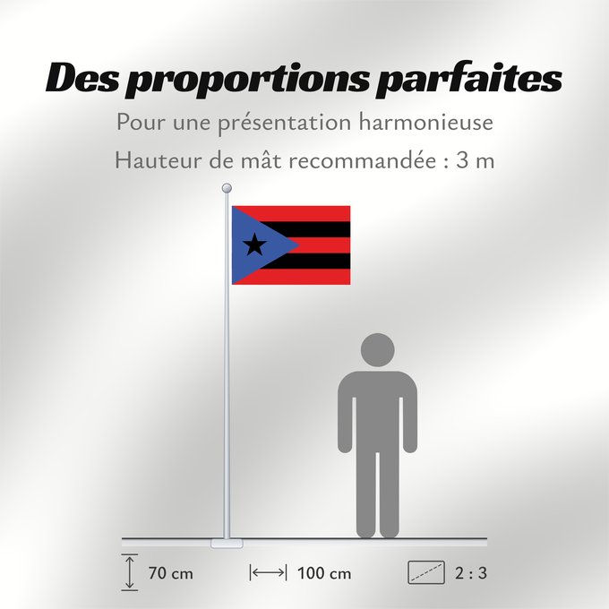 Proportions du drapeau : Puerto Rico