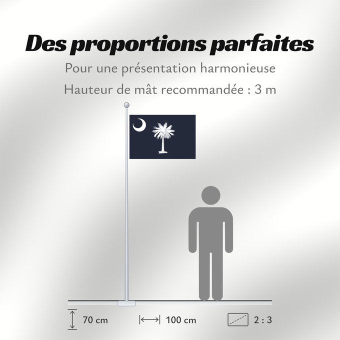 Proportions du drapeau : South Carolina Caroline du Sud Carolina del Sur Carolina del Sud علم كارولاينا الجنوبية ᏐᎦᎴᏂ ᎦᏓᏘ Ka hae Kalolaina Hema Carolinae Meridionalis Shádiʼááhjí Kééláanah Hahoodzo bidah naatʼaʼí Флаг Южной Каролины Američke savezne države Južne Karoline