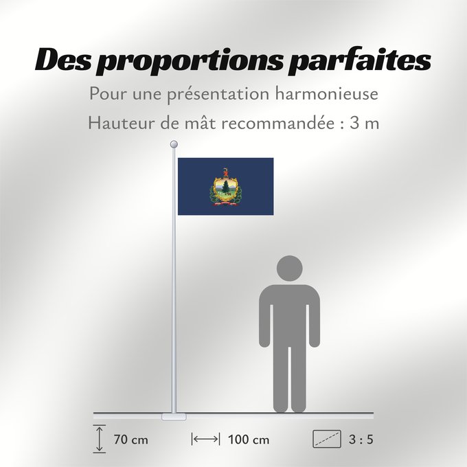 Proportions du drapeau : Vermont Vermont ᏣᏩᎦ ᎦᏓᏘ Ka hae Welemoneka Vermontis Bimááʼ Hahoodzo bidah naatʼaʼí Флаг Вермонта Američke savezne države Vermont