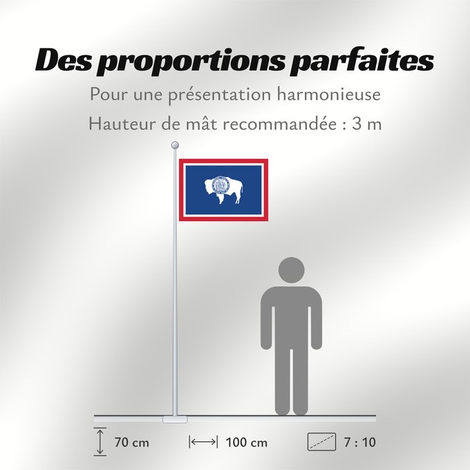 Proportions du drapeau : Wyoming Ka hae Waiomina Vyominae Wááʼóómii Hahoodzo bidah naatʼaʼí Флаг Вайоминга Američke savezne države Vajoming