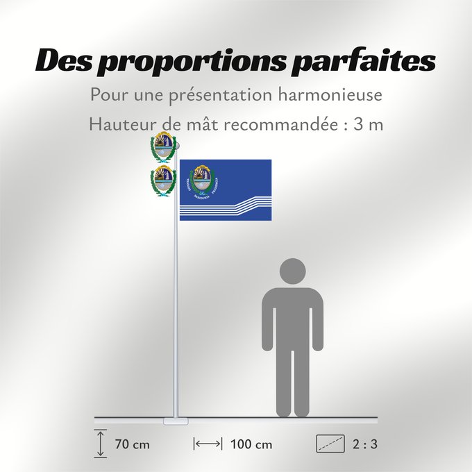 Proportions du drapeau : Salto Department	Salto Department 	Salto	Departamento de Salto	Salto (Departamento)	Salto Dipartimento